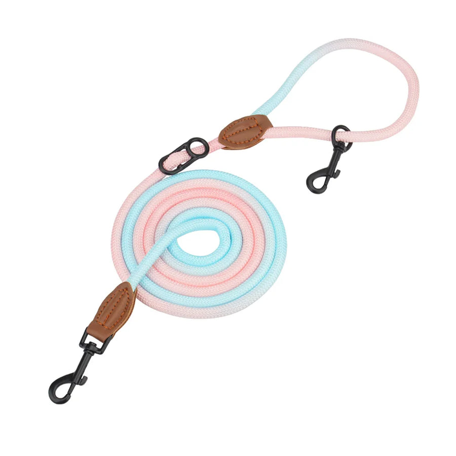 The Ultimate Guide to Walking Two Dogs at Once
