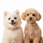 Pearl & Crystal Pet Collar for Small Dogs & Cats