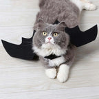 Halloween Black Bat Wings for Cats