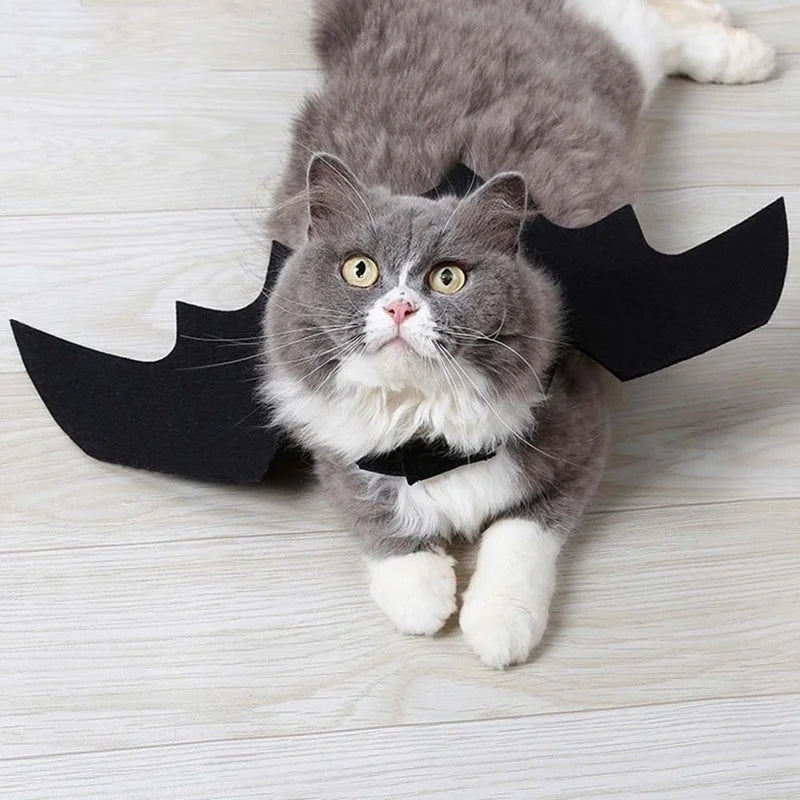 Halloween Black Bat Wings for Cats