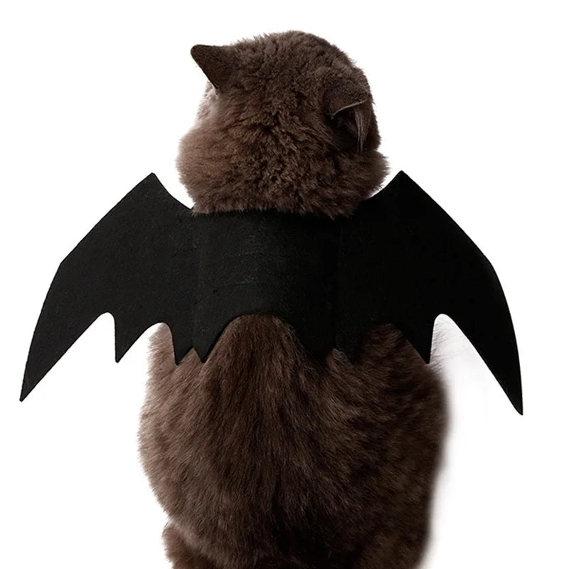 Halloween Black Bat Wings for Cats