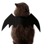Halloween Black Bat Wings for Cats