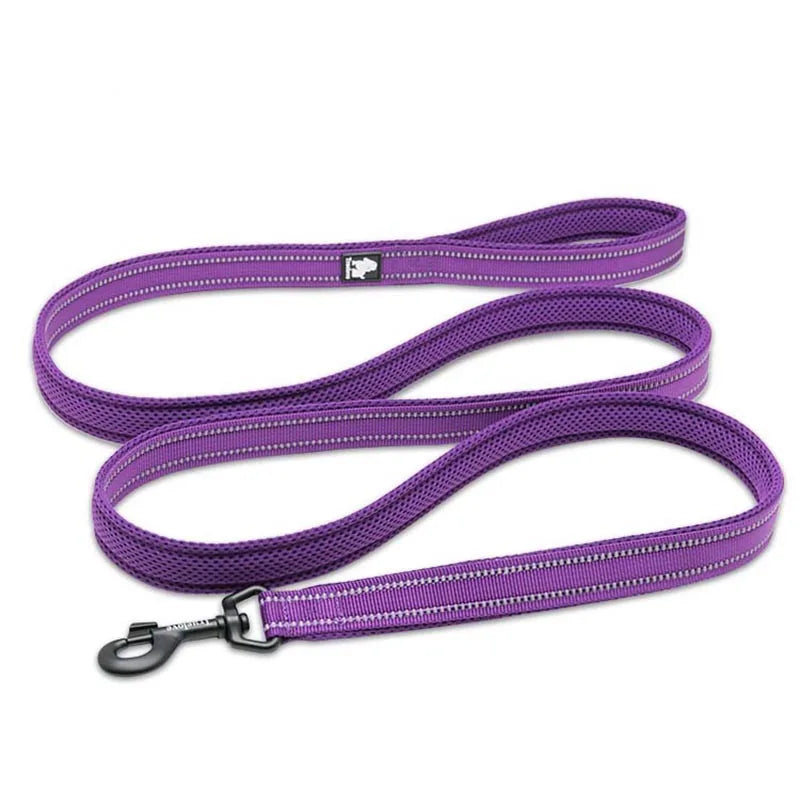 Truelove Reflective No-Pull Dog Leash