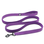 Truelove Reflective No-Pull Leash