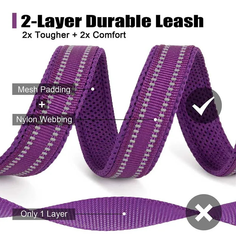 Truelove Reflective No-Pull Dog Leash