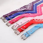 Bandana Pet Collar