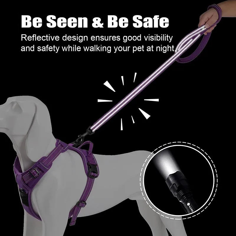Truelove Reflective No-Pull Dog Leash