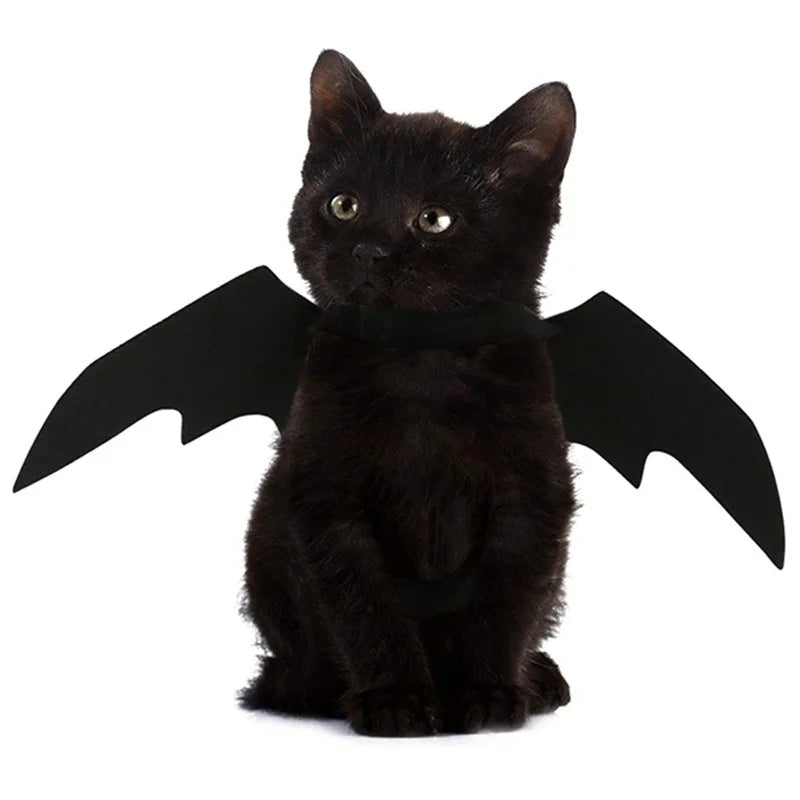 Halloween Black Bat Wings for Cats