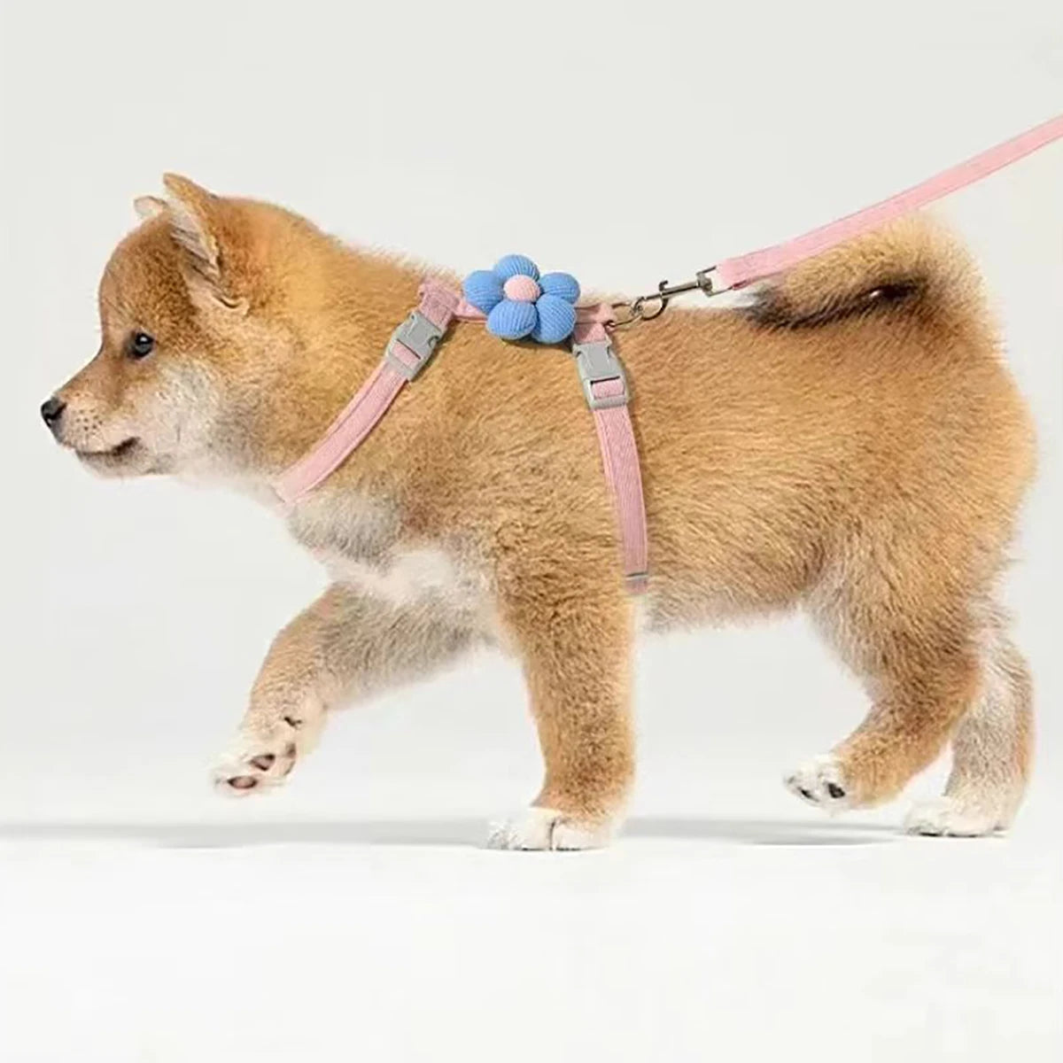 Adjustable Harness & Leash Set for Cats