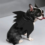 Halloween Black Bat Wings for Cats