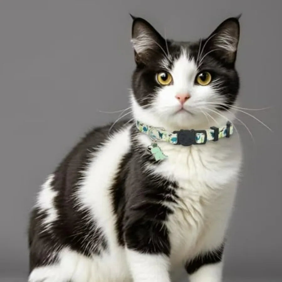 Dinosaur Cat Collars with Bells & Removable Charms — 2-Pack