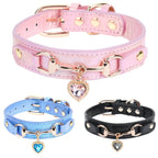 Leather and Rhinestone Pet Collar with Heart