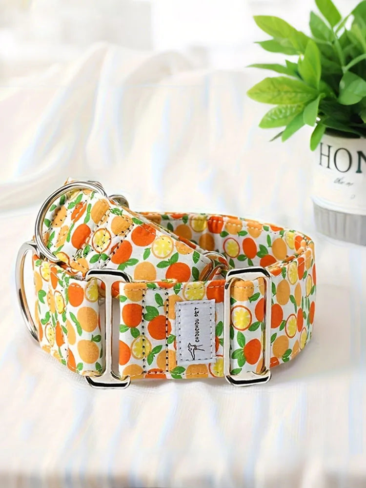 Martingale Dog Collar