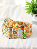 Martingale Dog Collar