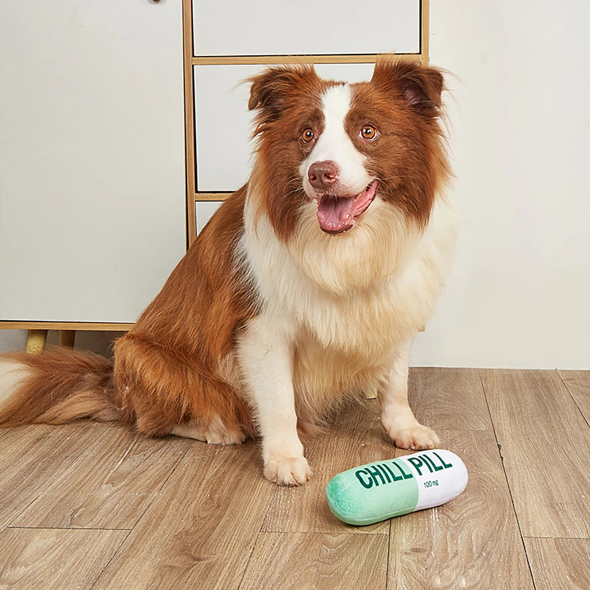 Funny Plush Pill-Shaped Dog Toy with Squeaker