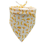 Fruit Print Pet Bandana Scarf
