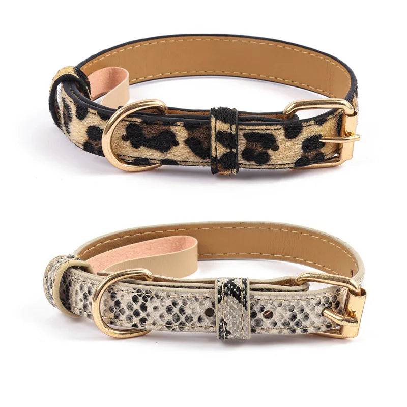 Leopard & Snake Print Collars