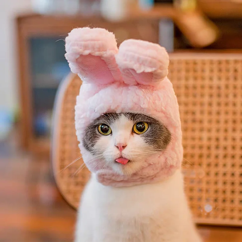 Plush Bear & Bunny Ear Pet Hat