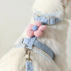 Adjustable Harness & Leash Set for Cats