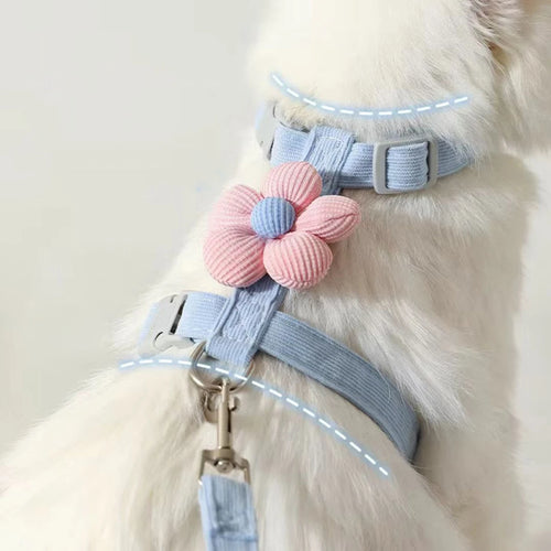 Adjustable Harness & Leash Set for Cats