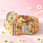 Martingale Dog Collar