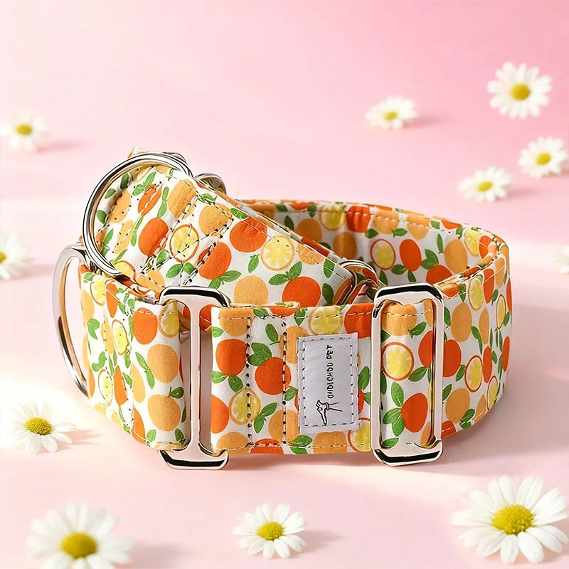 Martingale Dog Collar