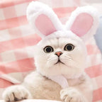 Plush Bear & Bunny Ear Pet Hat