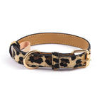 Leopard & Snake Print Collars
