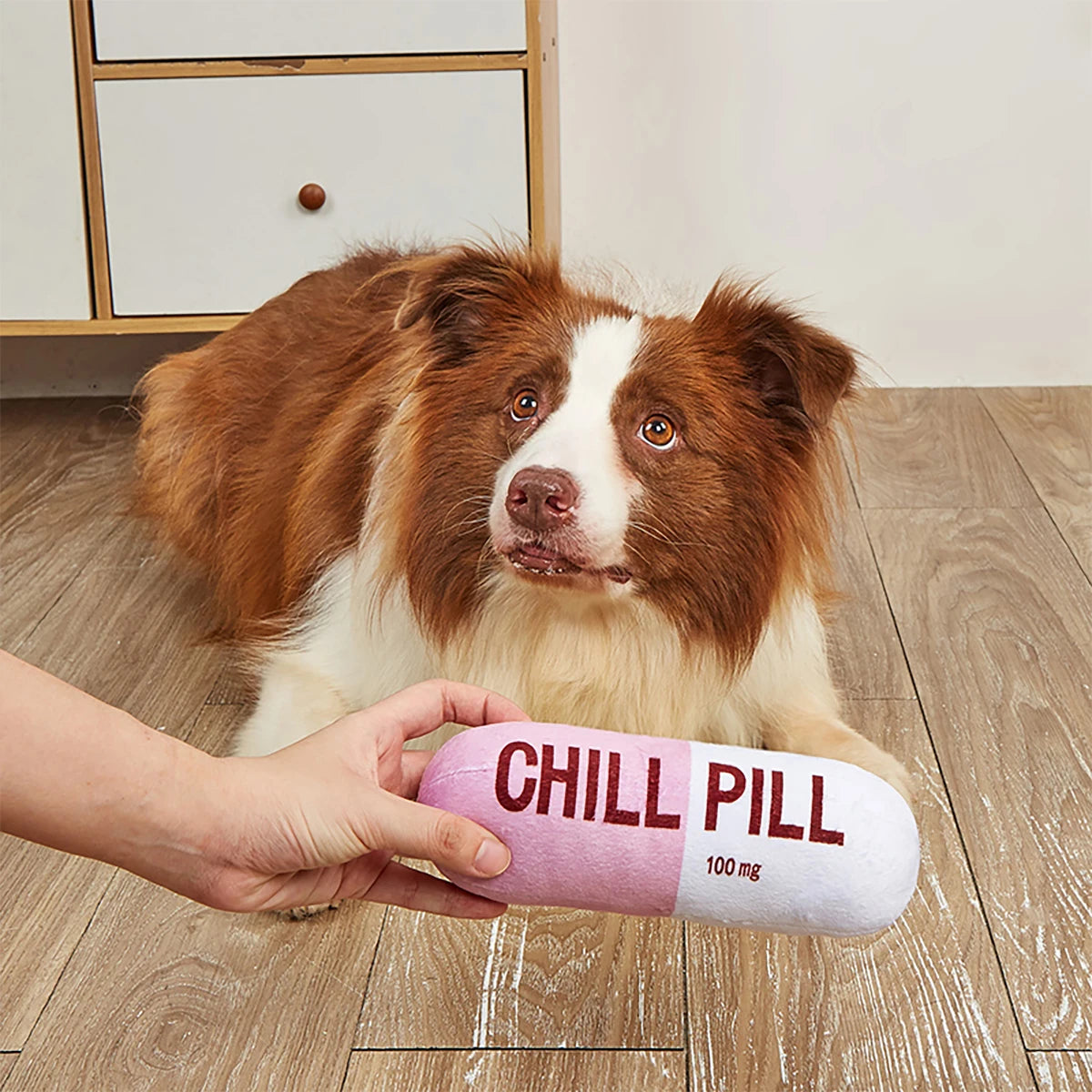 Funny Plush Pill-Shaped Dog Toy with Squeaker