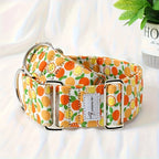 Martingale Dog Collar