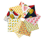Fruit Print Pet Bandana Scarf