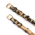 Leopard & Snake Print Collars