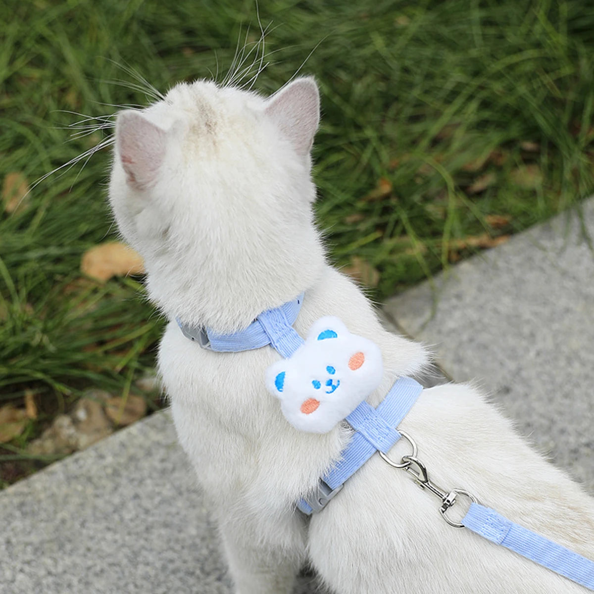 Adjustable Harness & Leash Set for Small Dogs and Cats