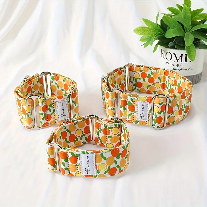 Martingale Dog Collar