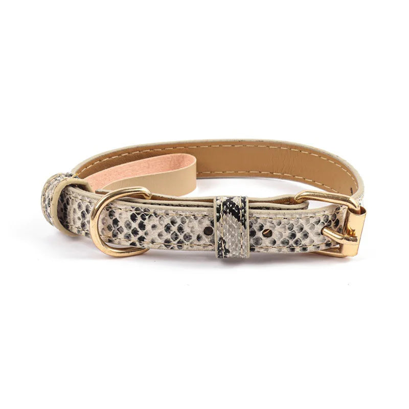 Leopard & Snake Print Collars