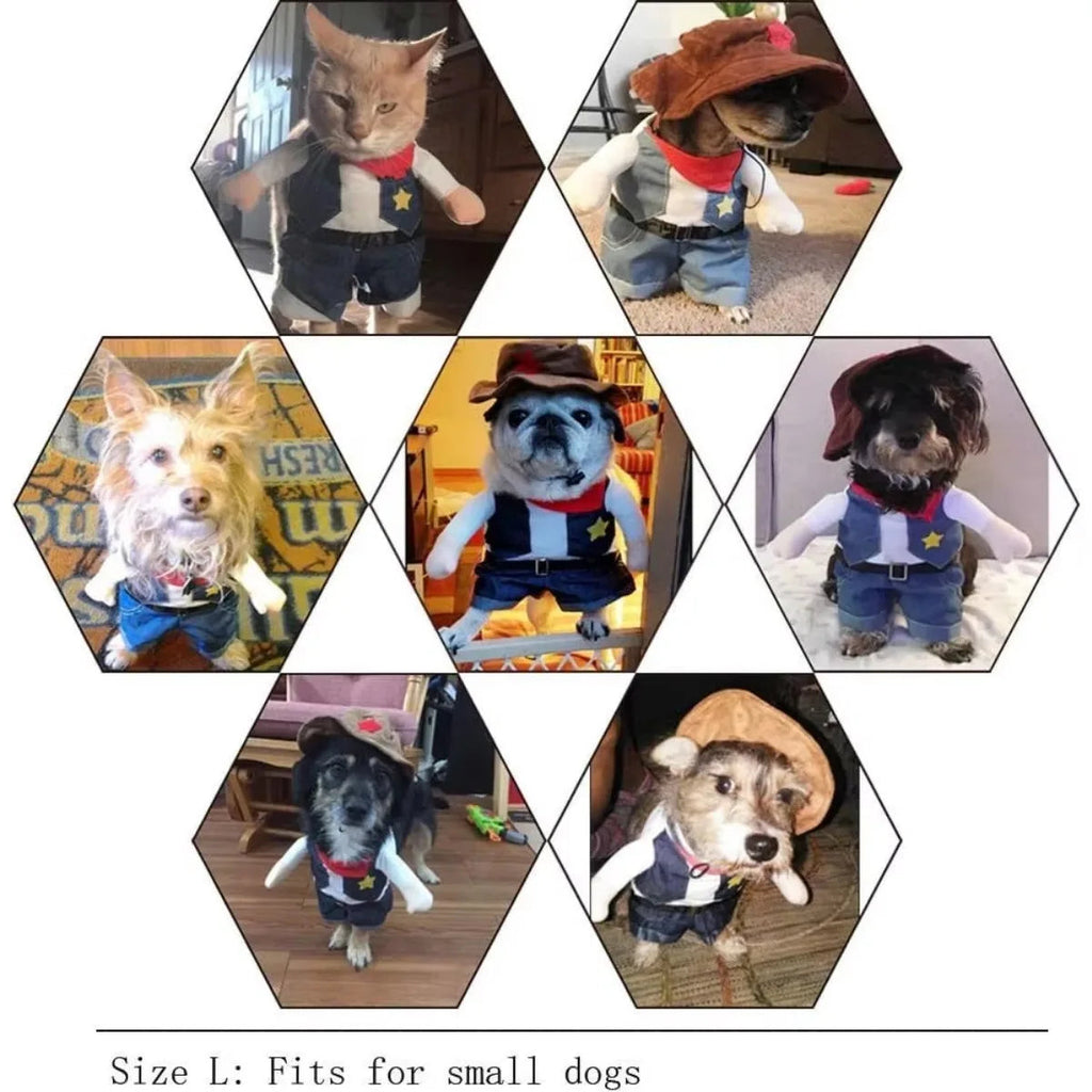 Cowboy Pet Halloween Costume