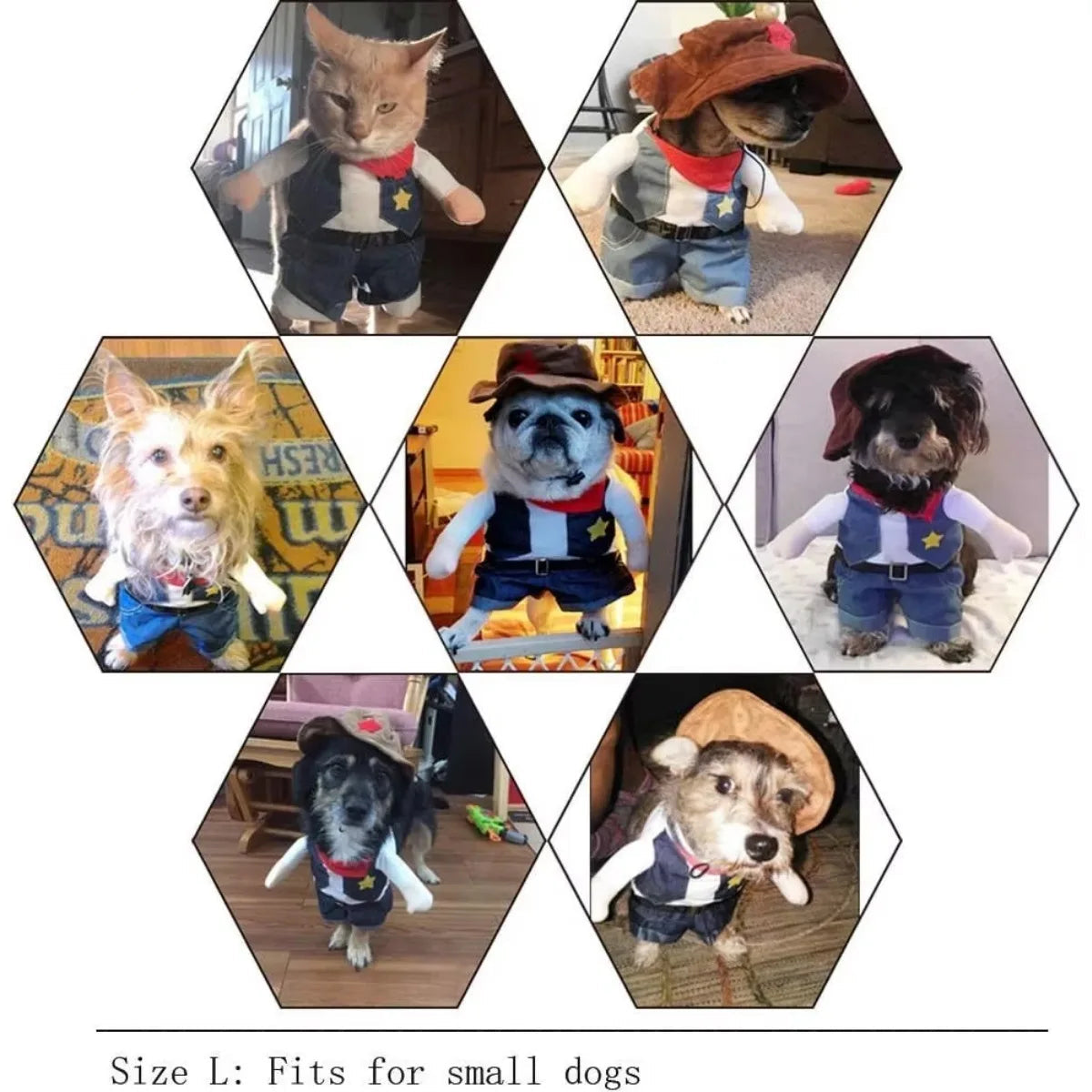 Cowboy Pet Halloween Costume