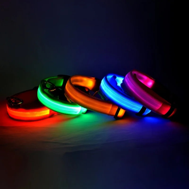LED Glow in the Dark Dog Collar