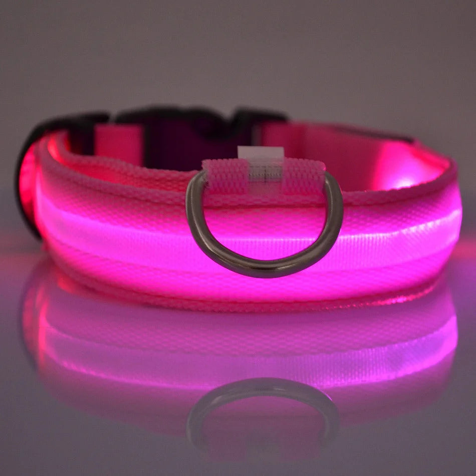 LED Glow in the Dark Dog Collar