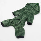 Halloween Dinosaur Costume