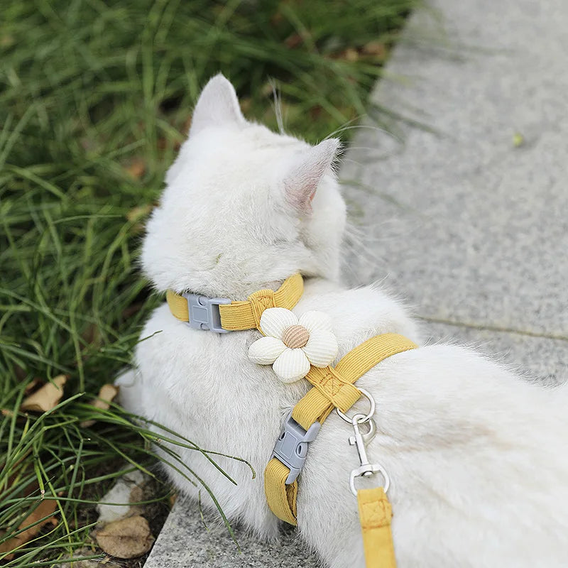 Adjustable Harness & Leash Set for Cats