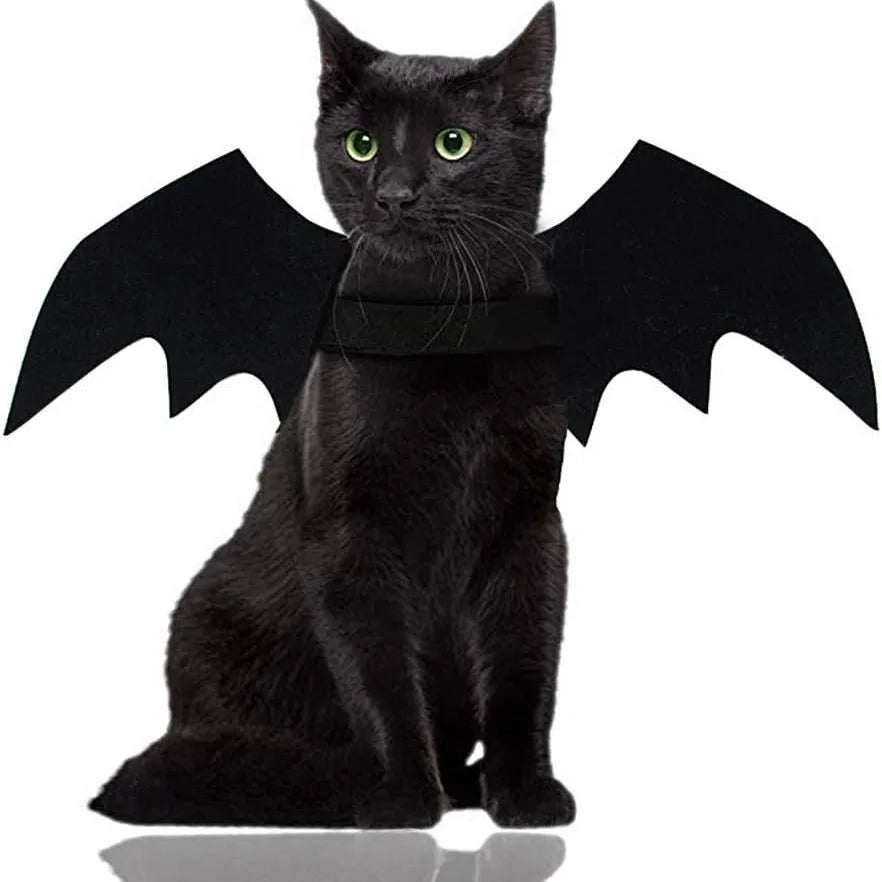 Halloween Black Bat Wings for Cats