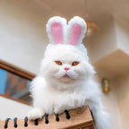 Plush Bear & Bunny Ear Pet Hat