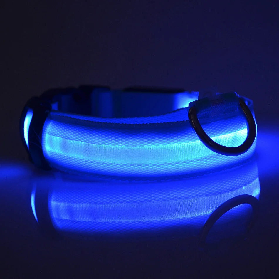 LED Glow in the Dark Dog Collar