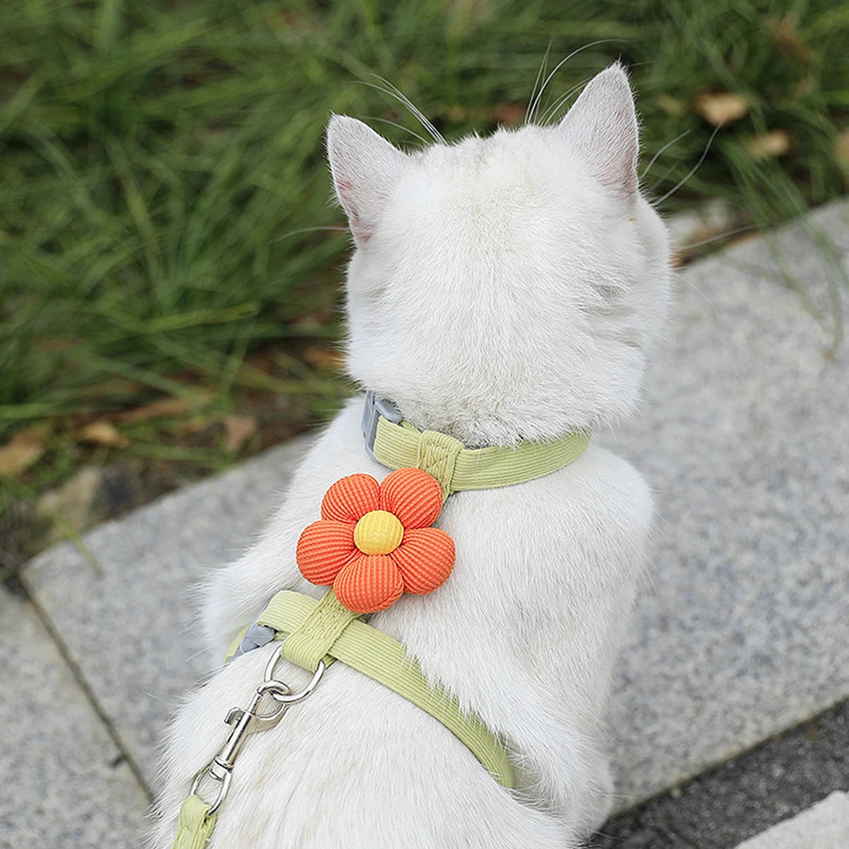 Adjustable Harness & Leash Set for Small Dogs and Cats