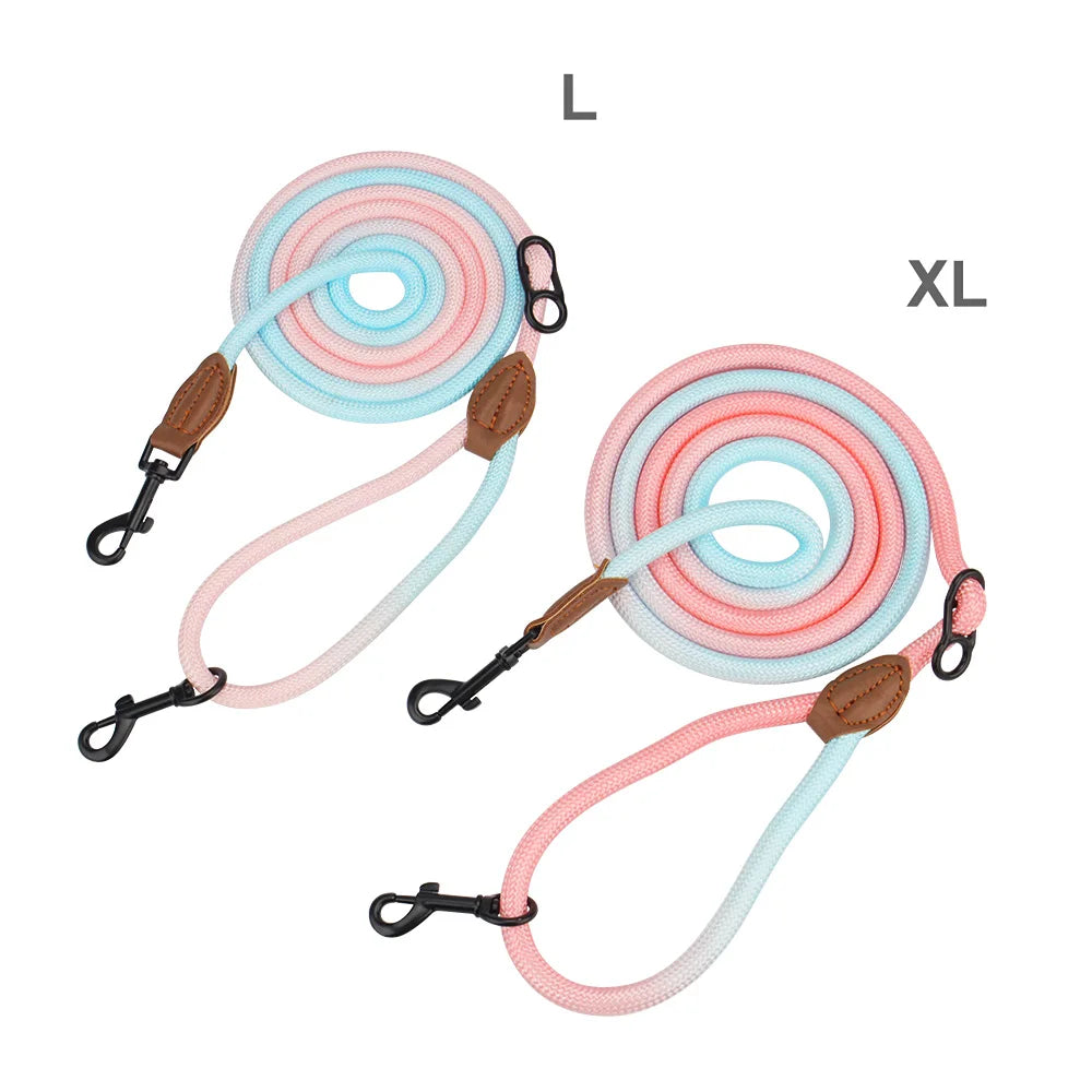 Double-Head Dog Leash & Crossbody Traction Rope