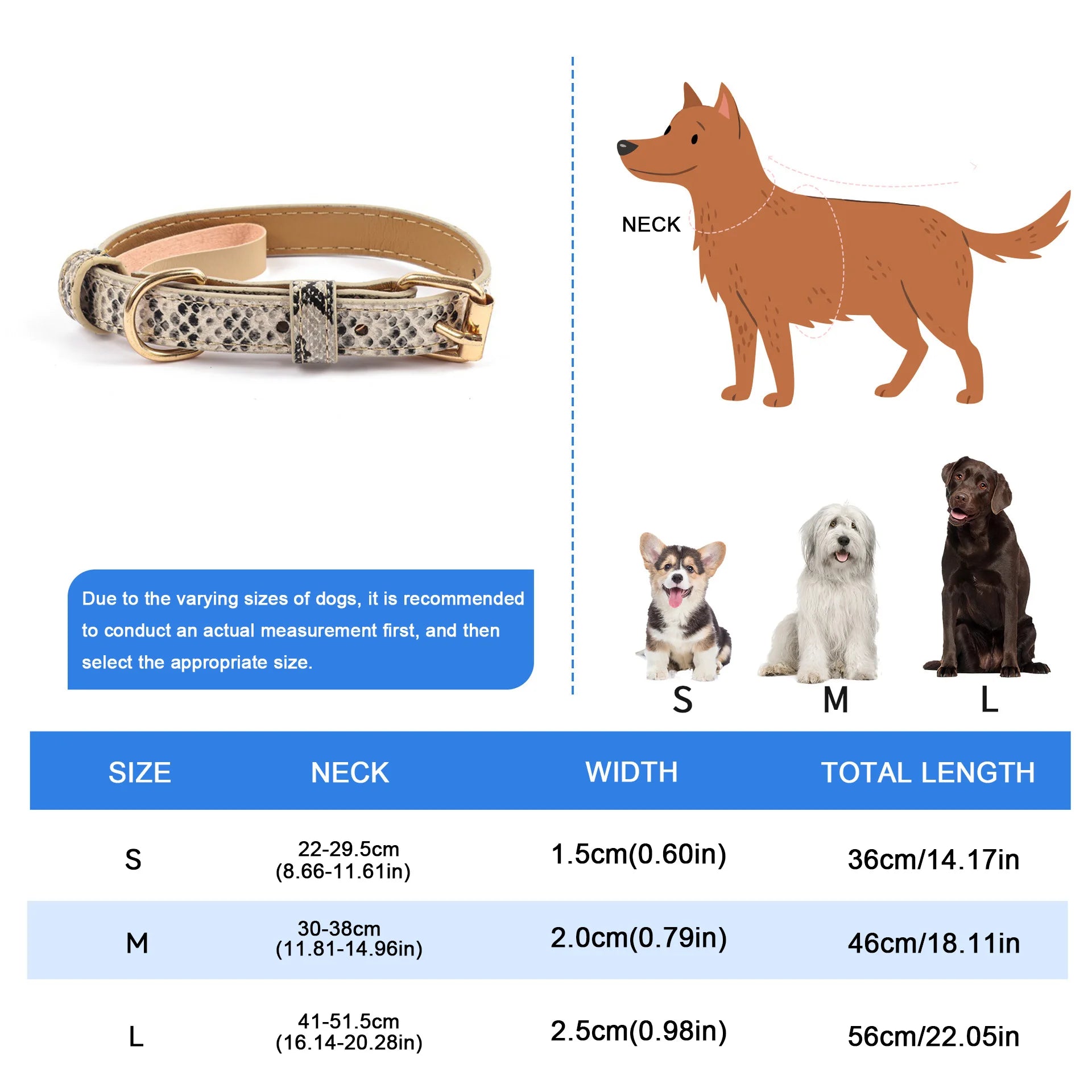 Leopard & Snake Print Collars