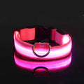 LED Glow in the Dark Dog Collar