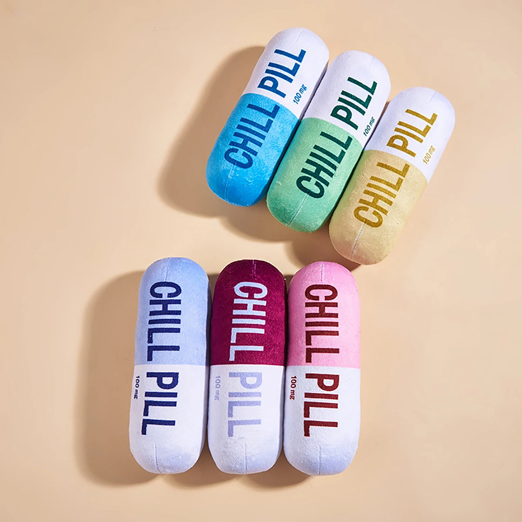 Funny Plush Pill-Shaped Dog Toy with Squeaker