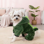 Halloween Dinosaur Costume